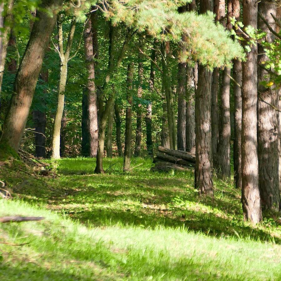 Bakony Deep Forest Vendeghaz Bakonyszentlaszlo Exterior photo